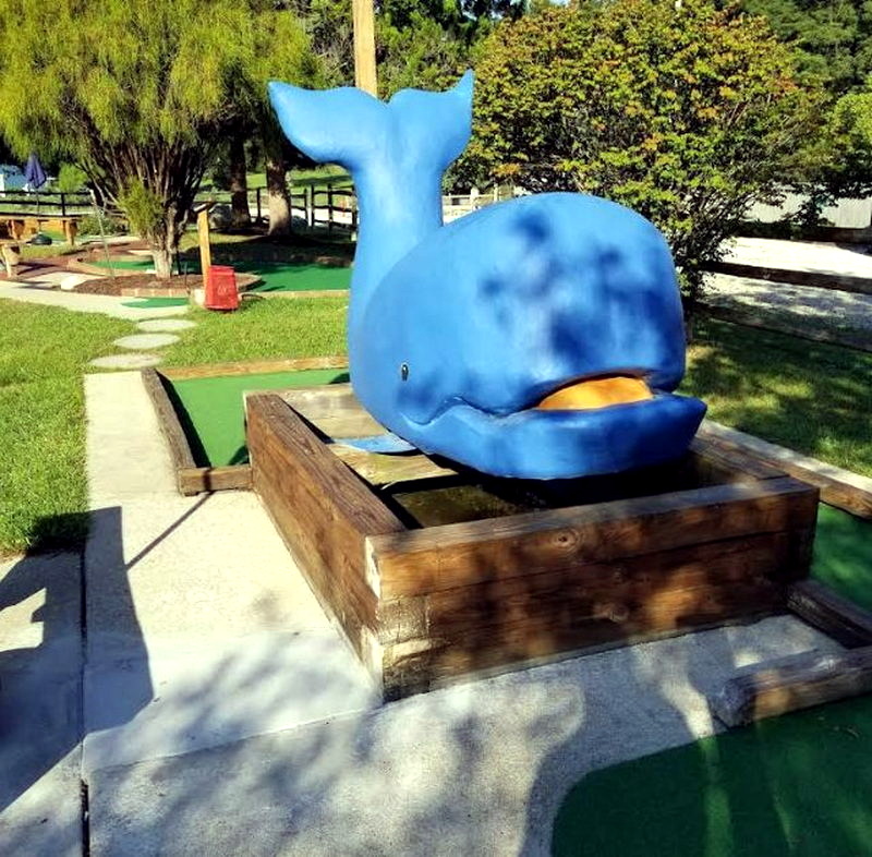 Pirates Port to Port Adventure Golf - From Web Listing